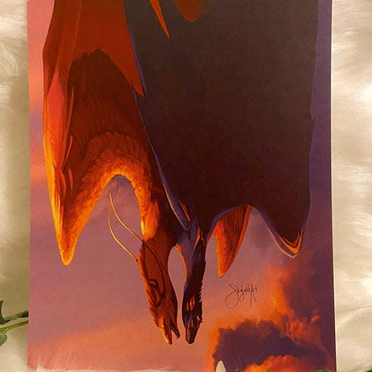 Sky Dive - Art Print