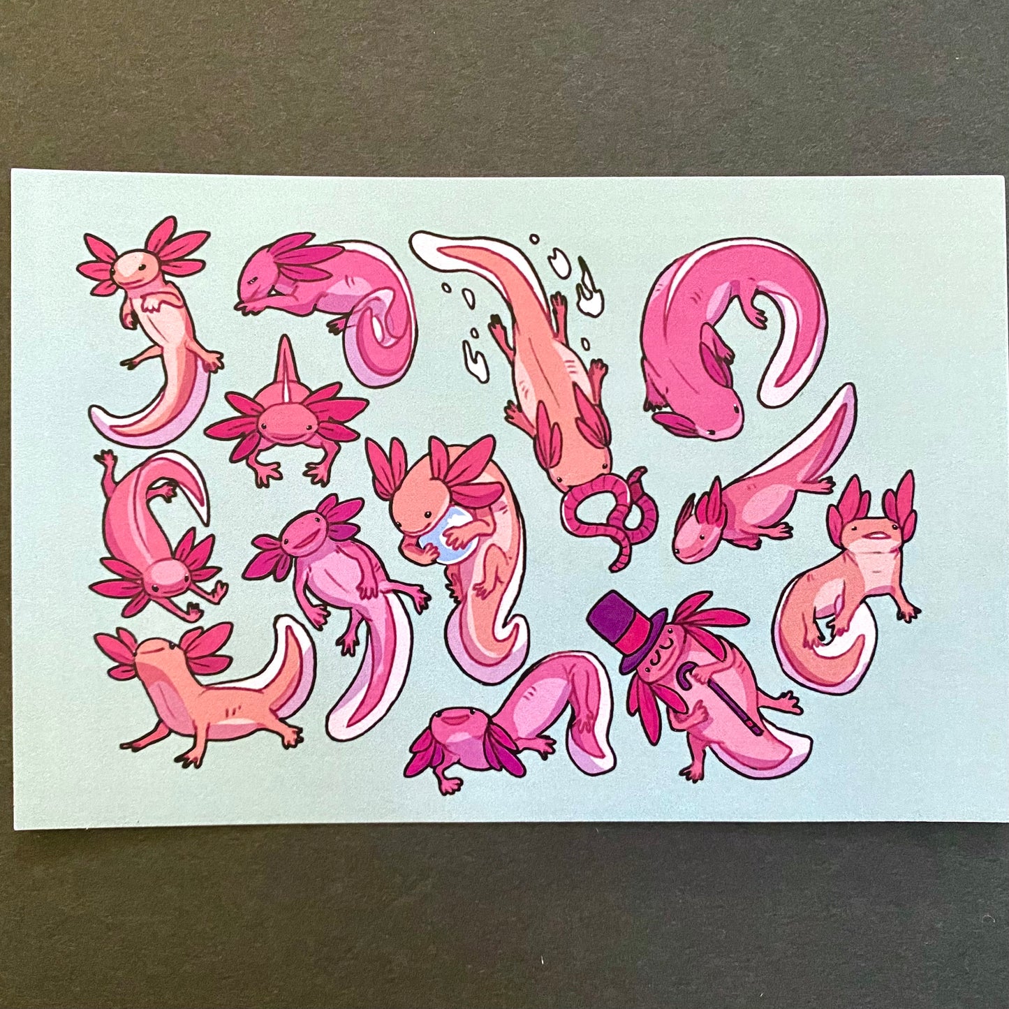 Derpy Animal - Art Print axolotls