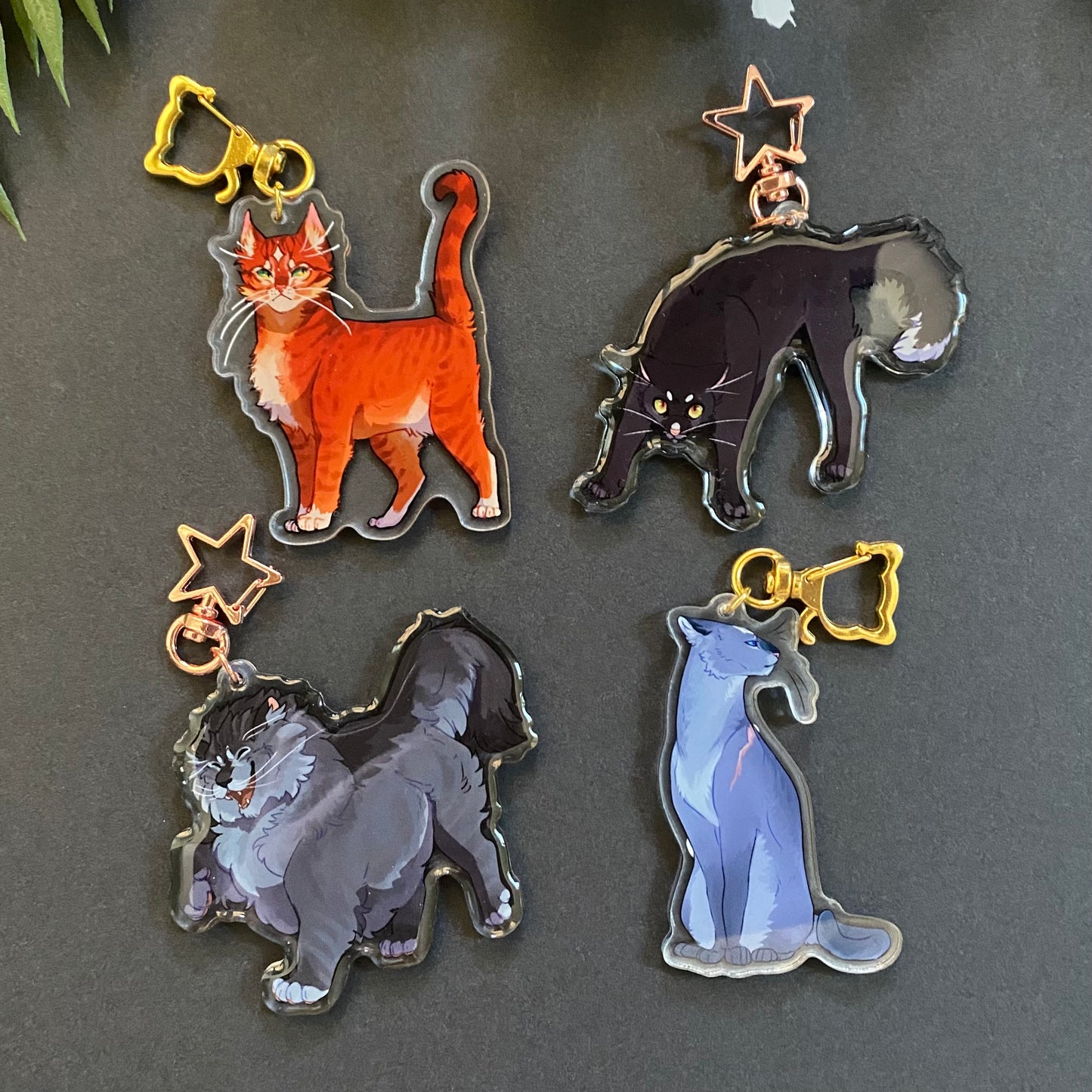 Firestar | Greystripe | Ravenpaw | Brightheart | Yellowfang | Tallstar | Tigerstar | Ivypool | Scourge | Sol | Bluestar - Keychain